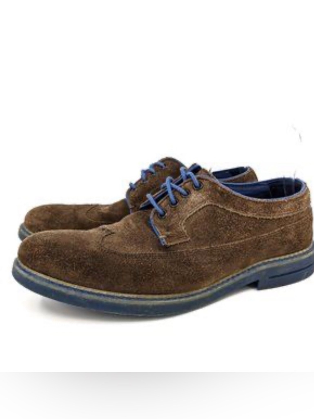 Ted Baker London Brown Suede derby Oxfords with Blue Accents